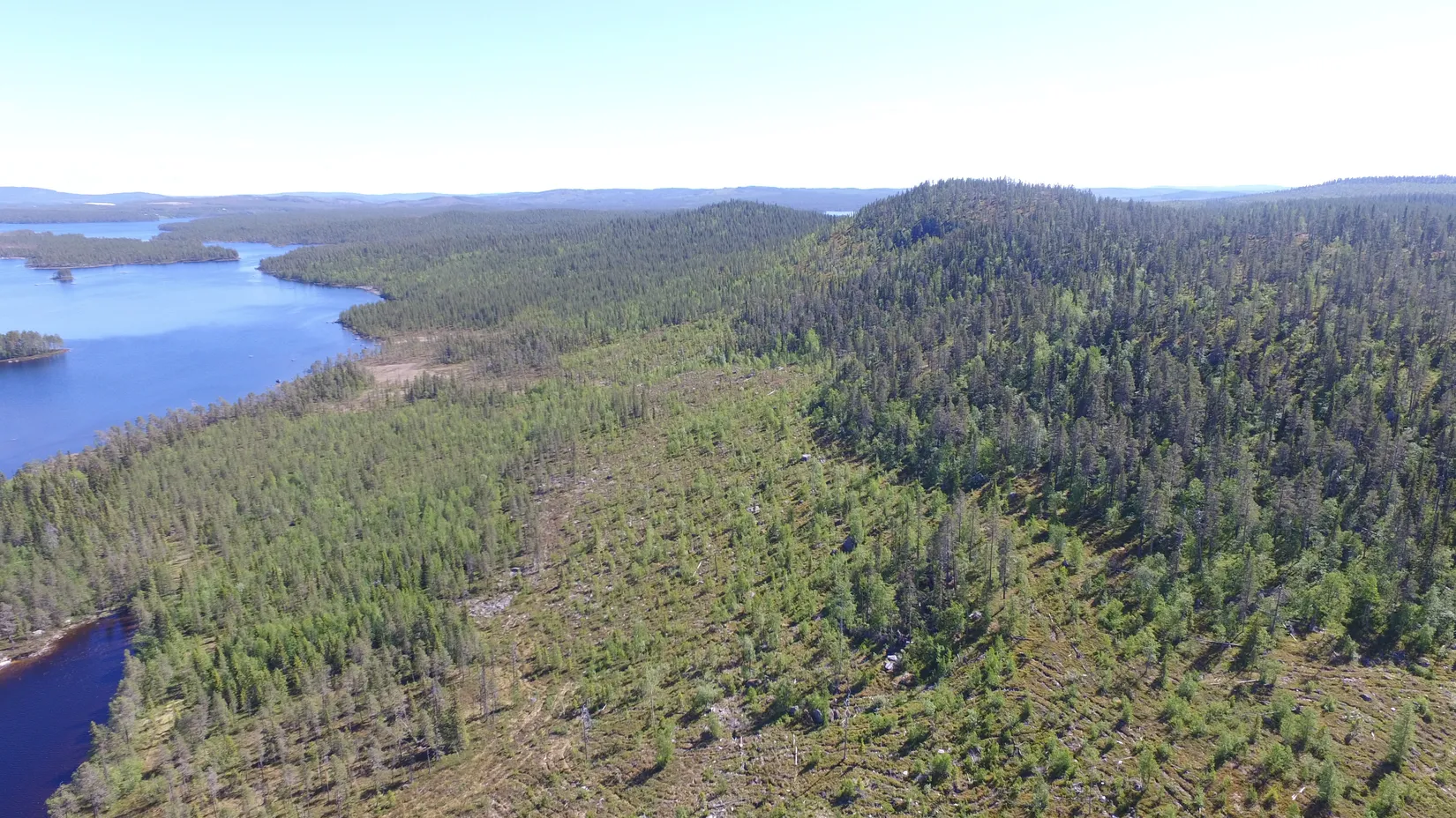 Gård/Skog, Sördal 112, Storuman