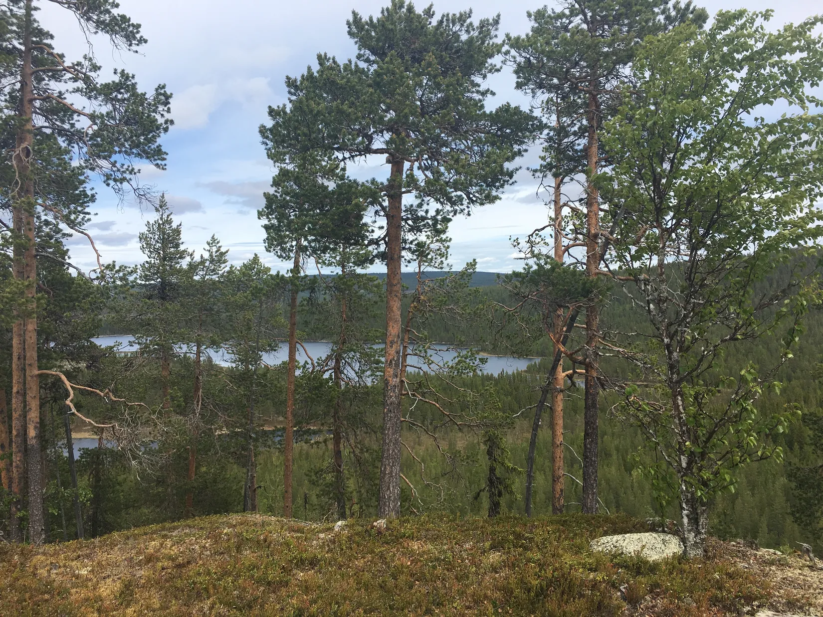 Gård/Skog, Sördal 112, Storuman