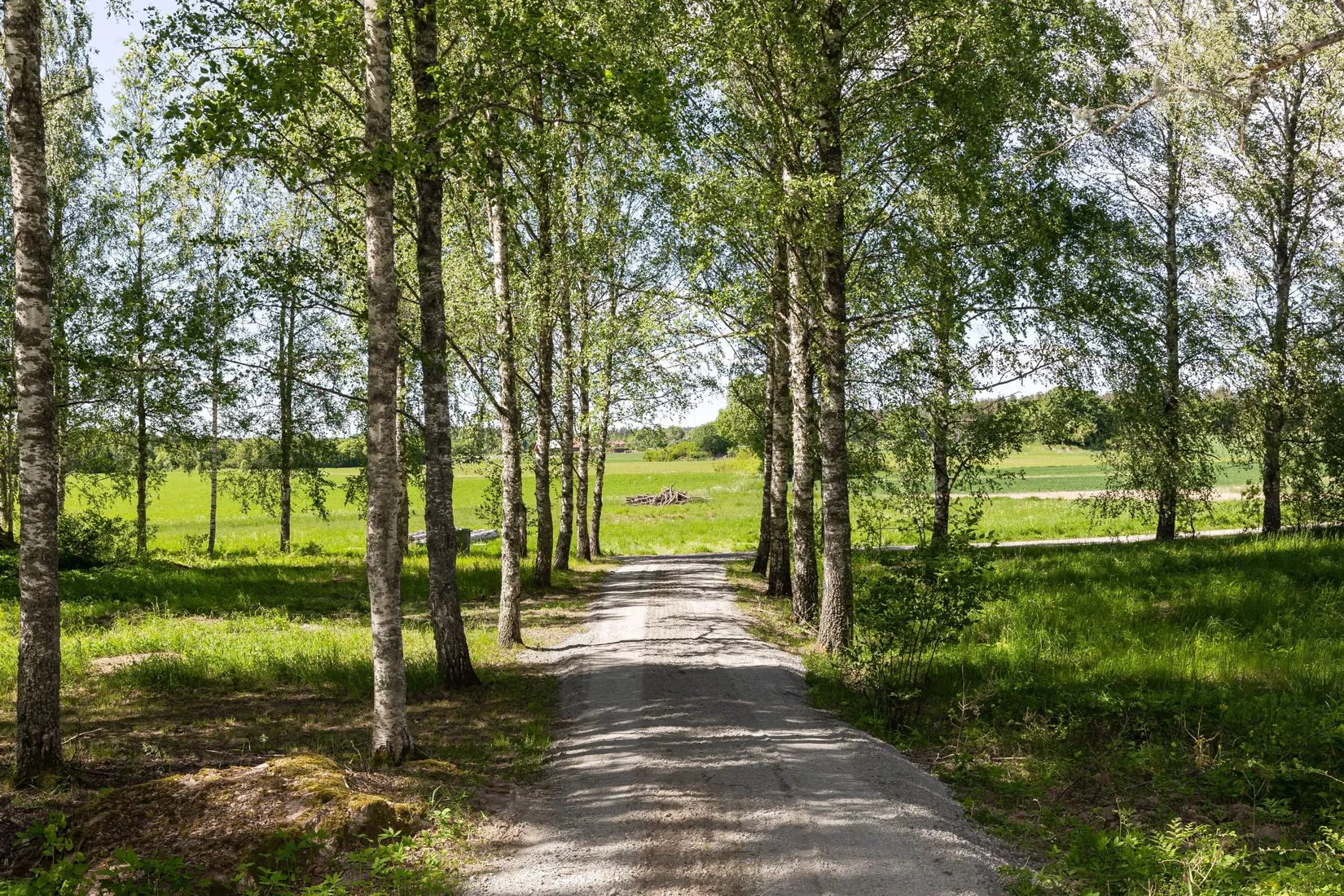 Gård/Skog, Löttorp 1, Fogdö, Strängnäs