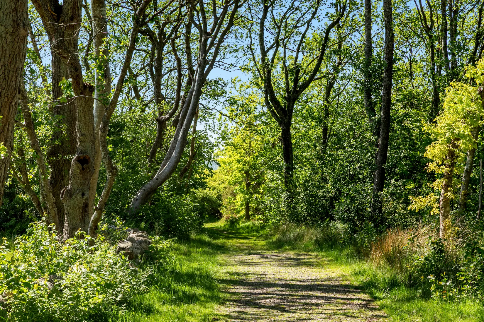 Fritidshus, Fyrstrandsvägen 33, Trönningenäs, Varberg