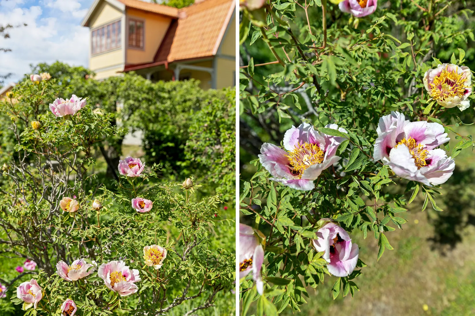 Villa, Prästvägen 2, Österåker