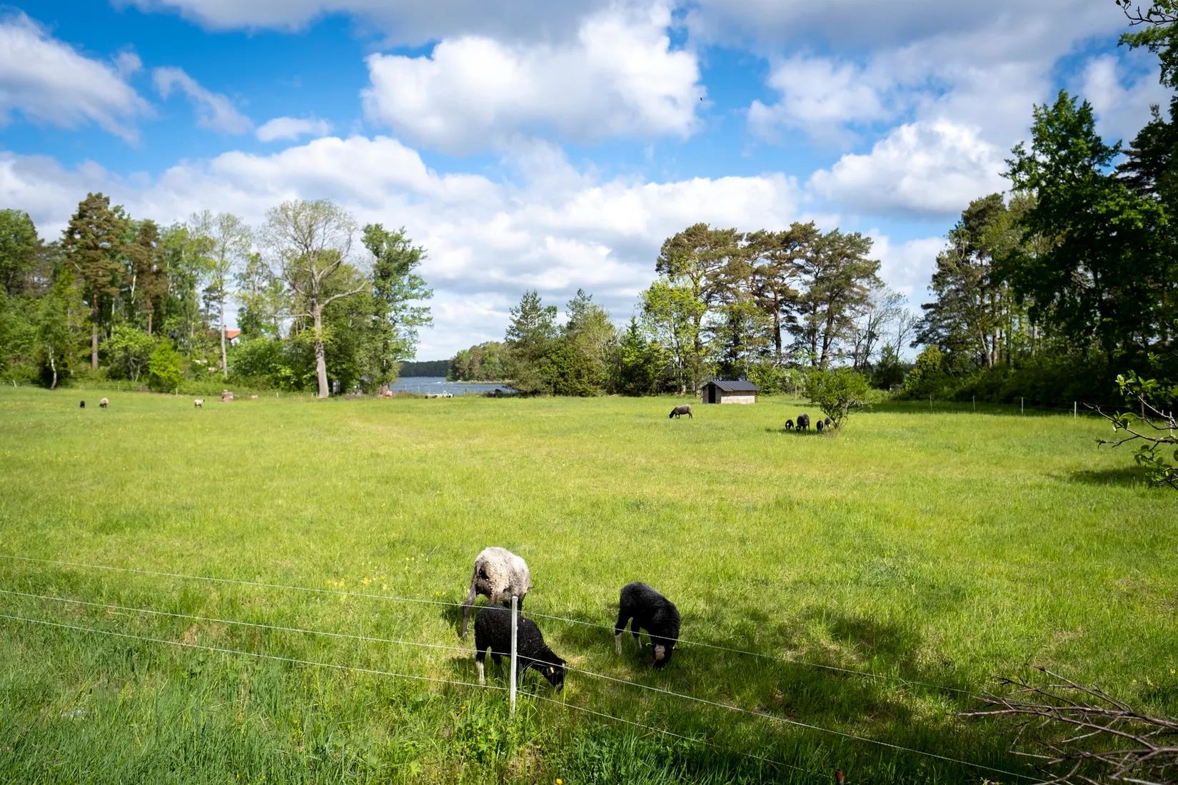 Fritidshus, Svartsö Tomteberga 984, Svartsö, Värmdö