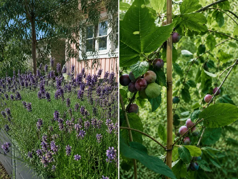 Villa, Radhus, Dianavägen 35, Eknäs, Nacka
