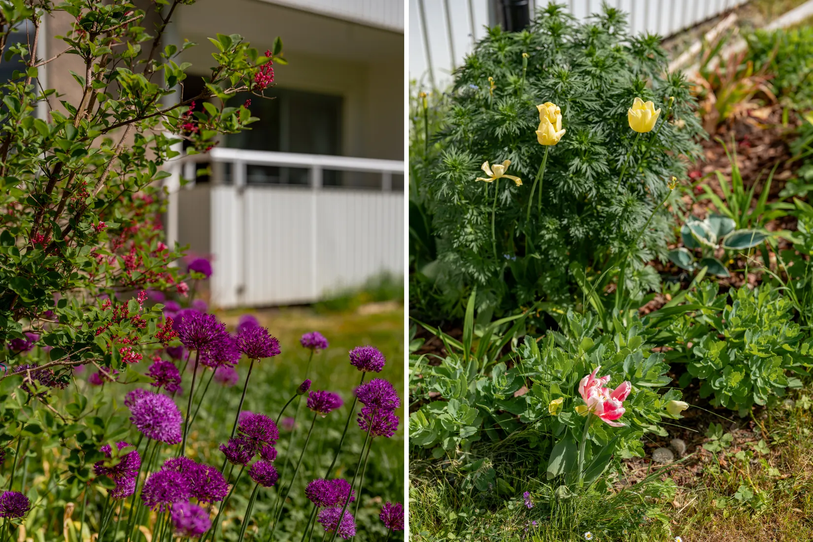 Bostadsrätt, Herserudsvägen 2D, Herserud, Lidingö