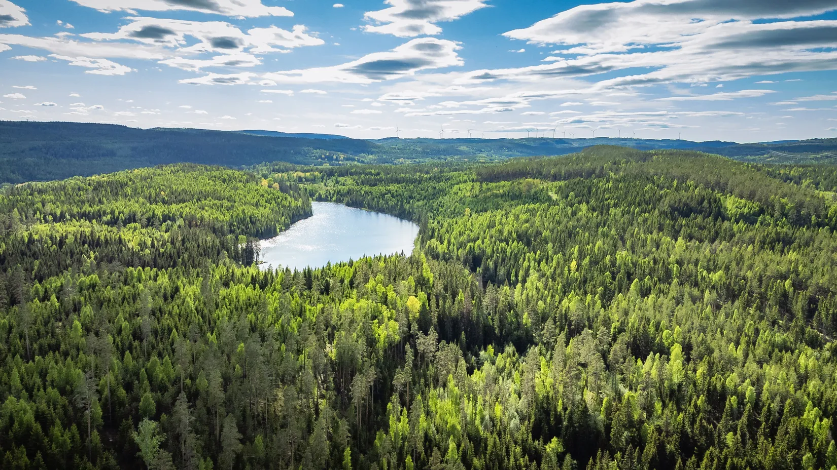 Gård/Skog, Åse 128, Kovland, Sundsvall