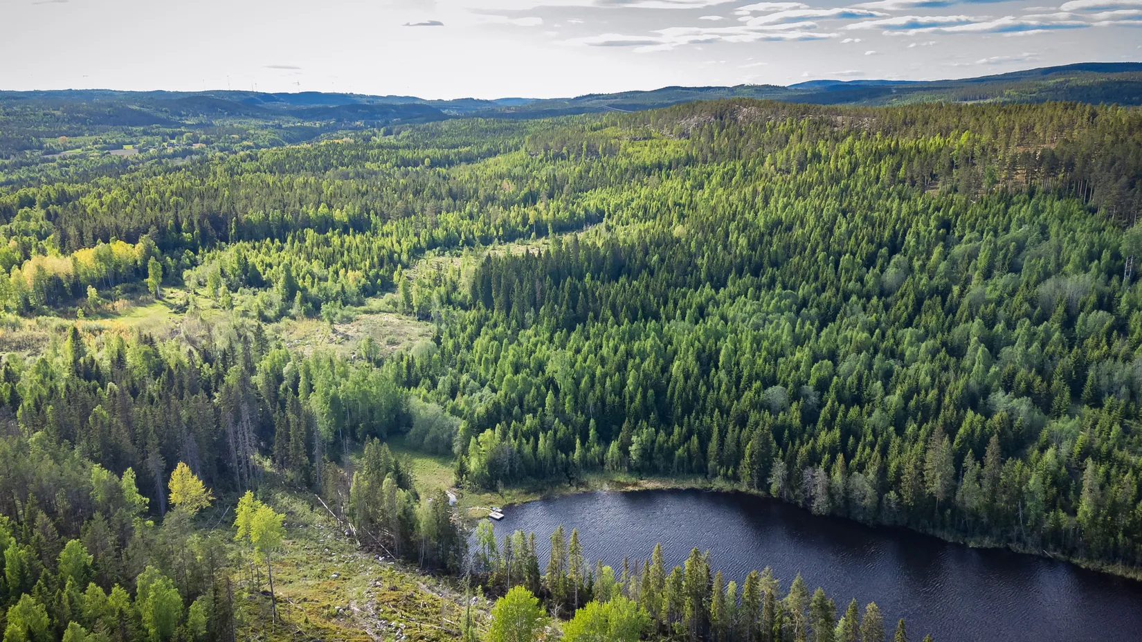 Gård/Skog, Åse 128, Kovland, Sundsvall