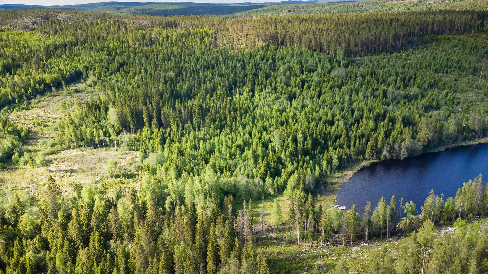 Gård/Skog, Åse 128, Kovland, Sundsvall
