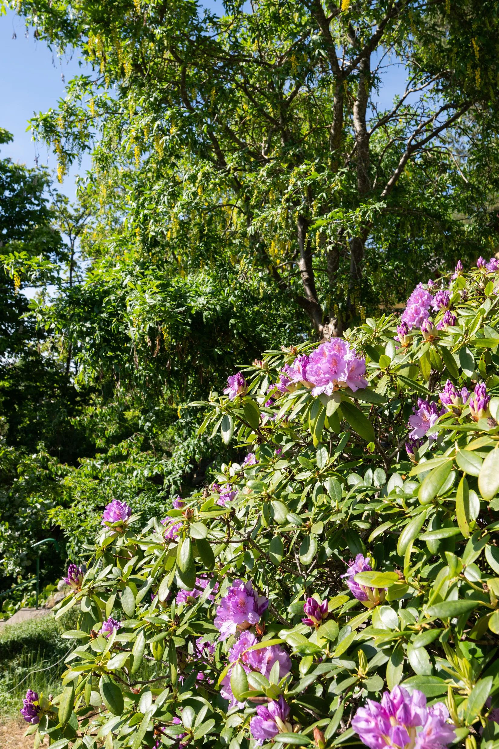 Villa, Tomtbergavägen 54, Stuvsta, Huddinge
