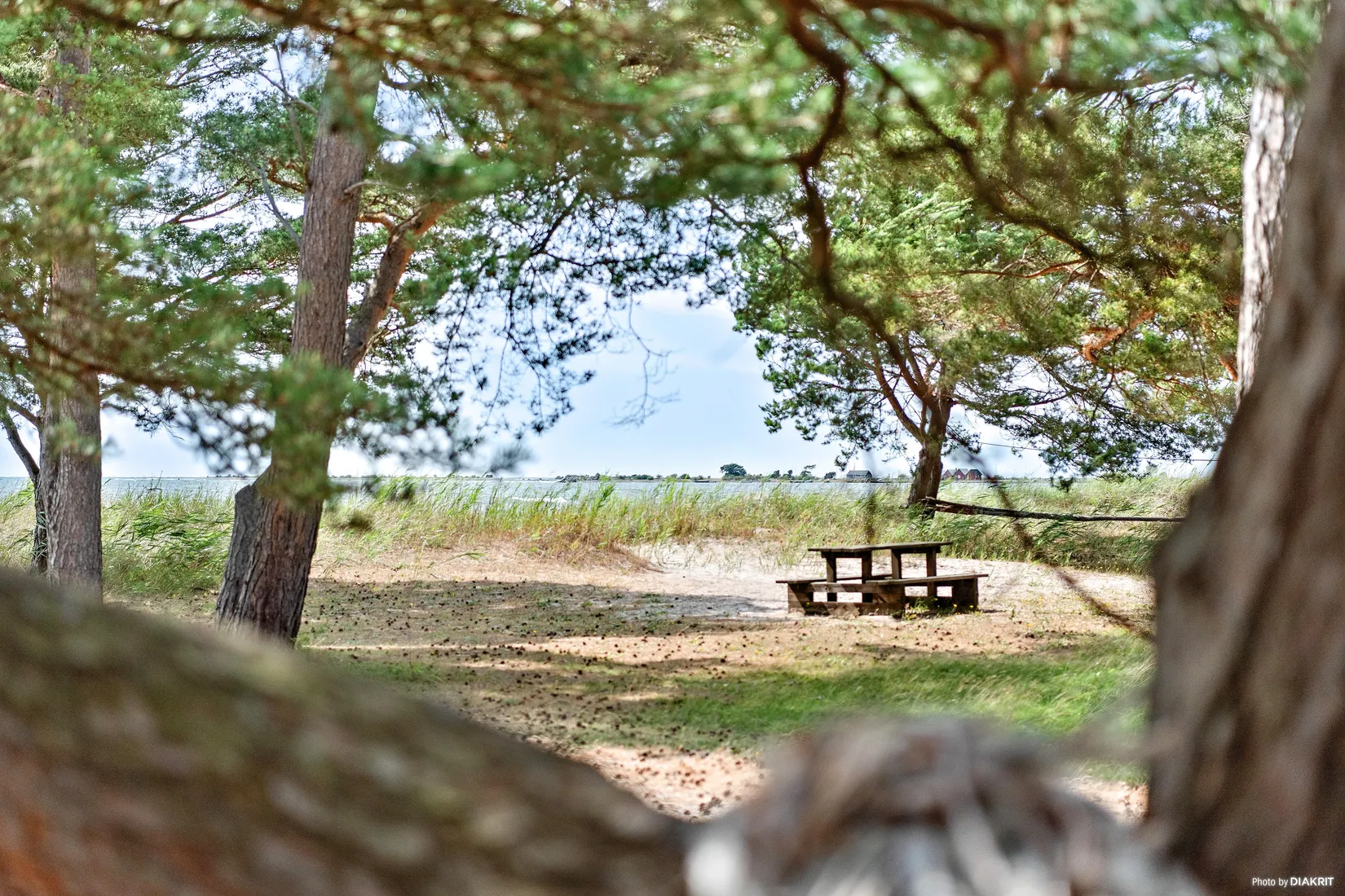 Övrigt, Sanda Lilla Varbos 971M, Björkhaga, Gotland