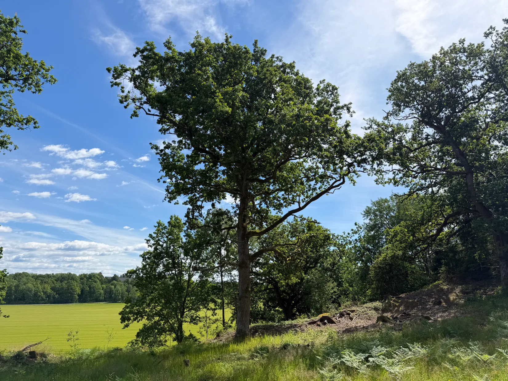 Tomt, Skee Stafsäng 5, Strömstad