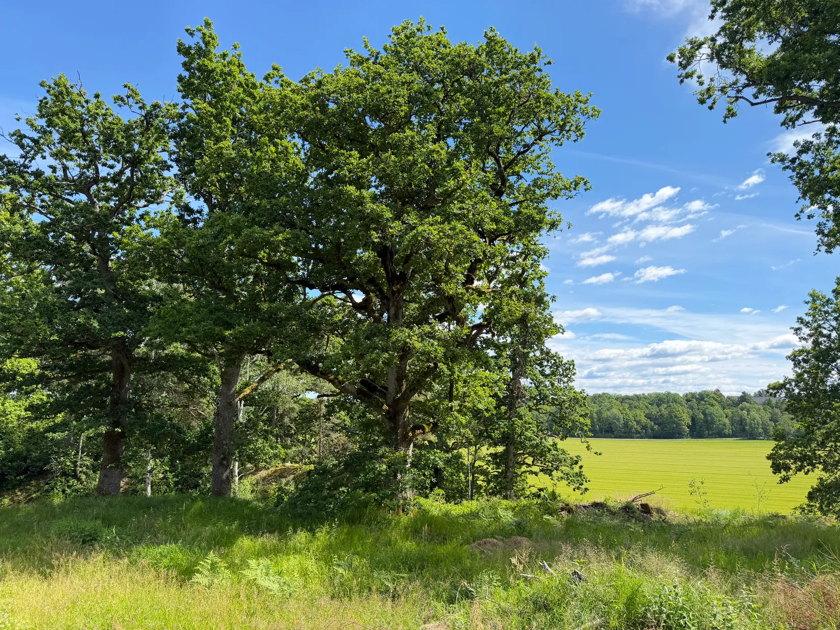 Tomt, Skee Stafsäng 5, Strömstad