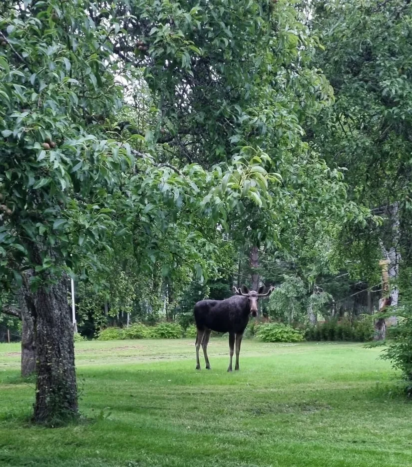 Villa, Hornstäve Haga 1, Hornstäve, Linköping