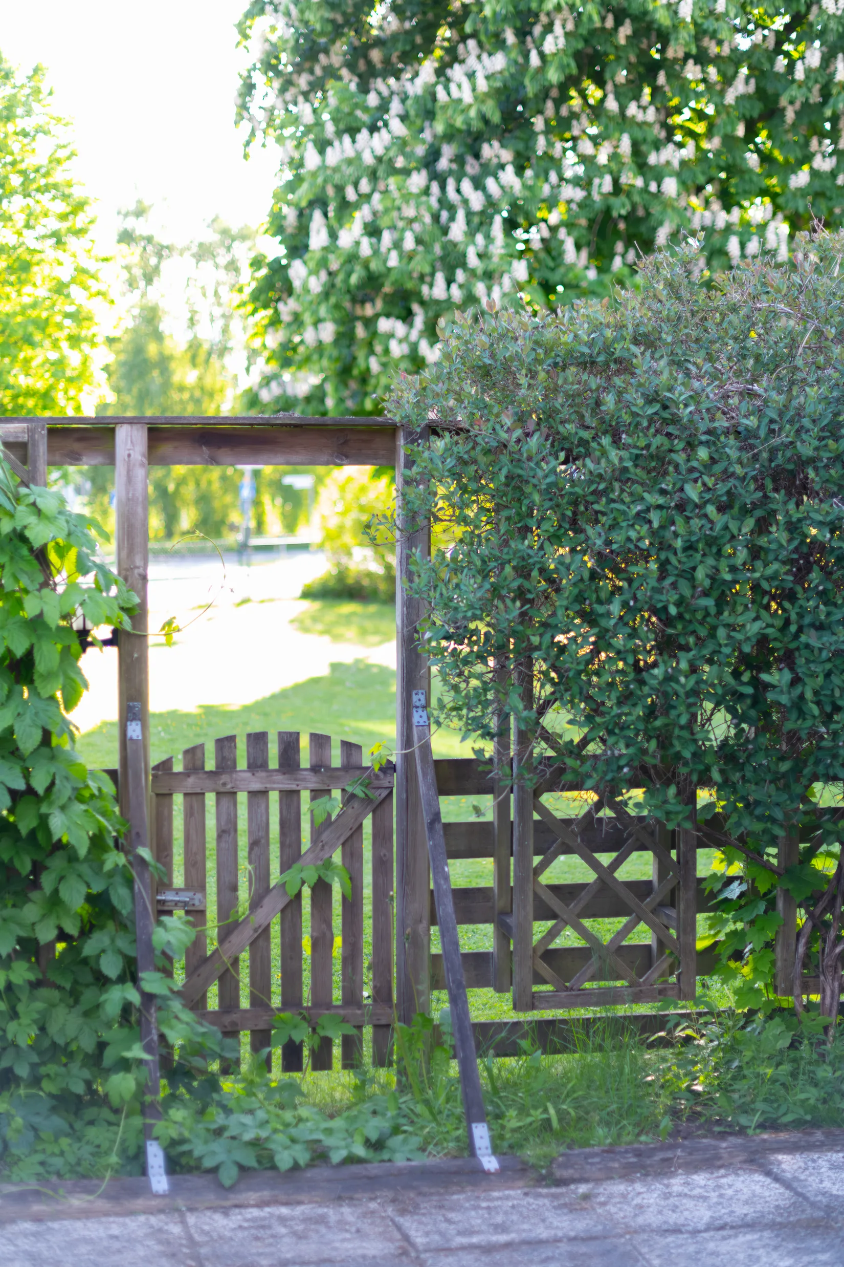 Villa, Radhus, Backgårdsgatan 1, Trandared, Borås