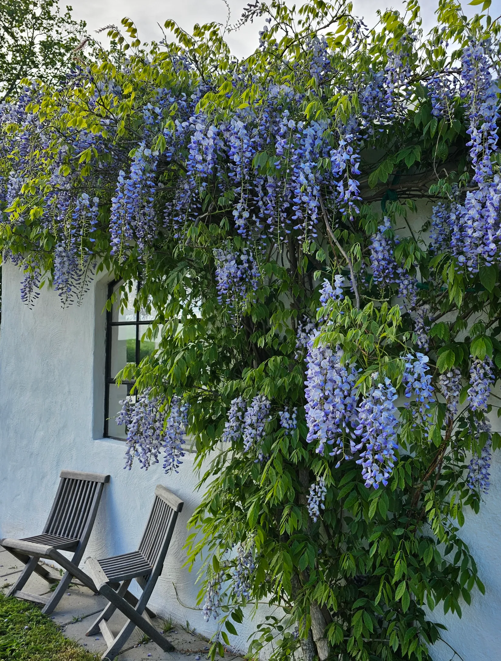 Villa, Kronoberg / Gladsax bygata 23C, Gladsax, Simrishamn