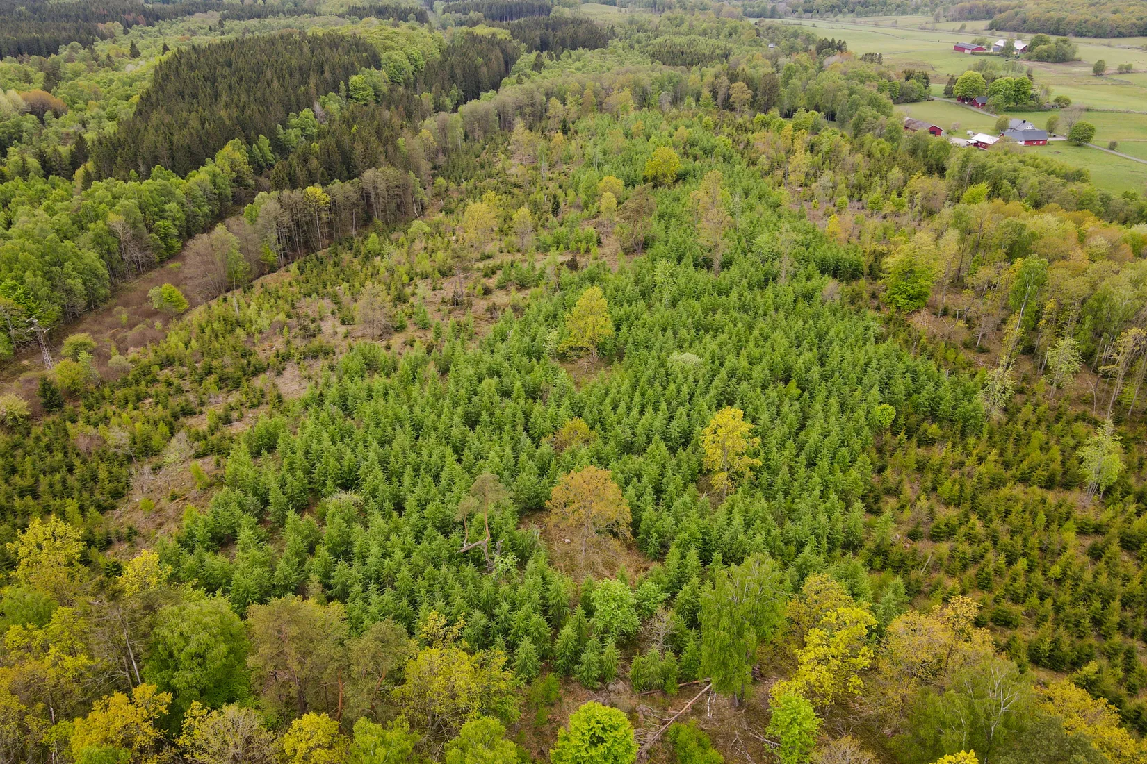 Gård/Skog, Torastorpsvägen 240, Linderöd, Kristianstad