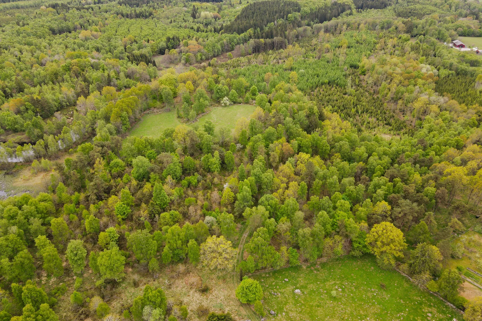 Gård/Skog, Torastorpsvägen 240, Linderöd, Kristianstad