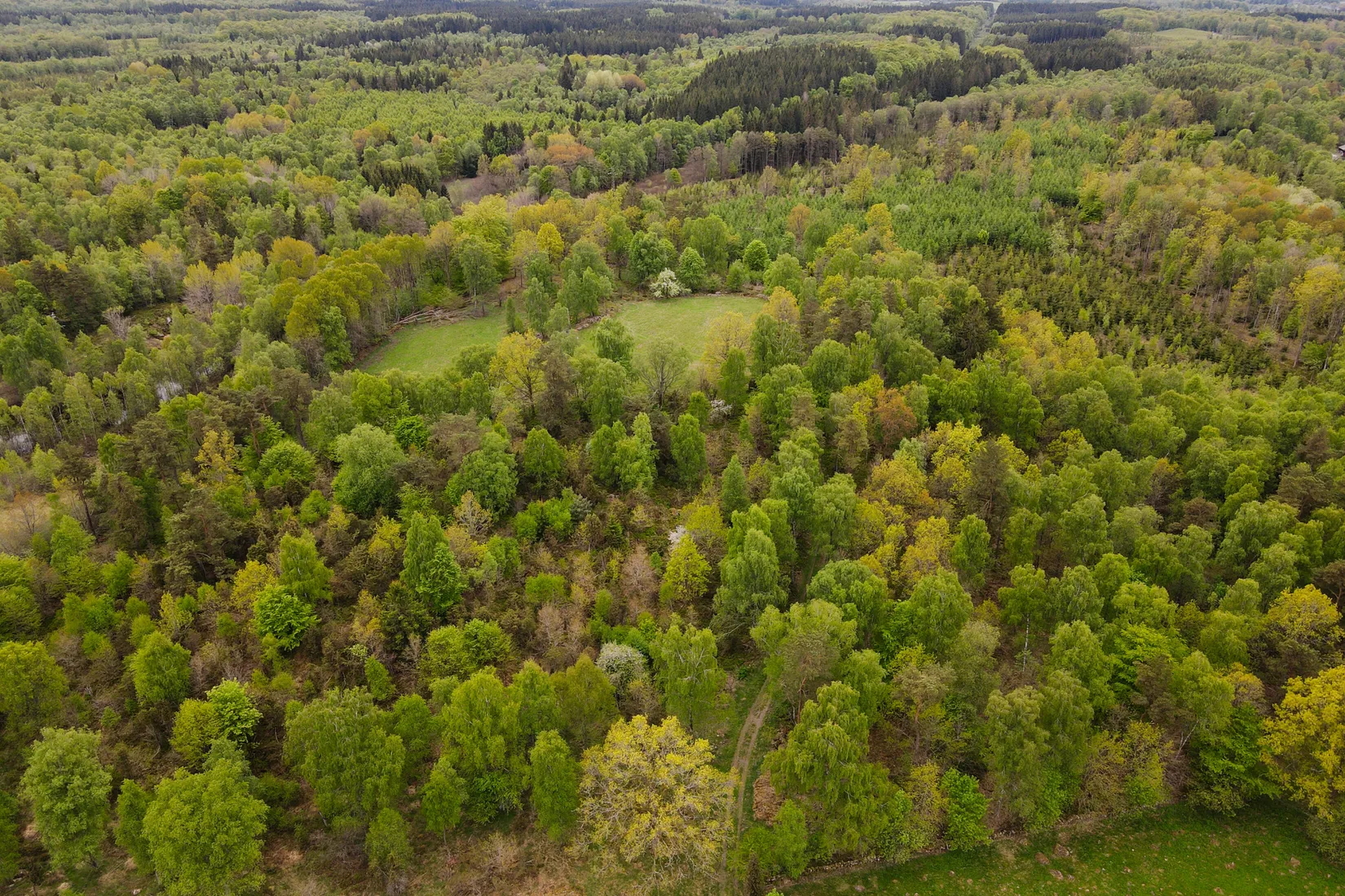 Gård/Skog, Torastorpsvägen 240, Linderöd, Kristianstad