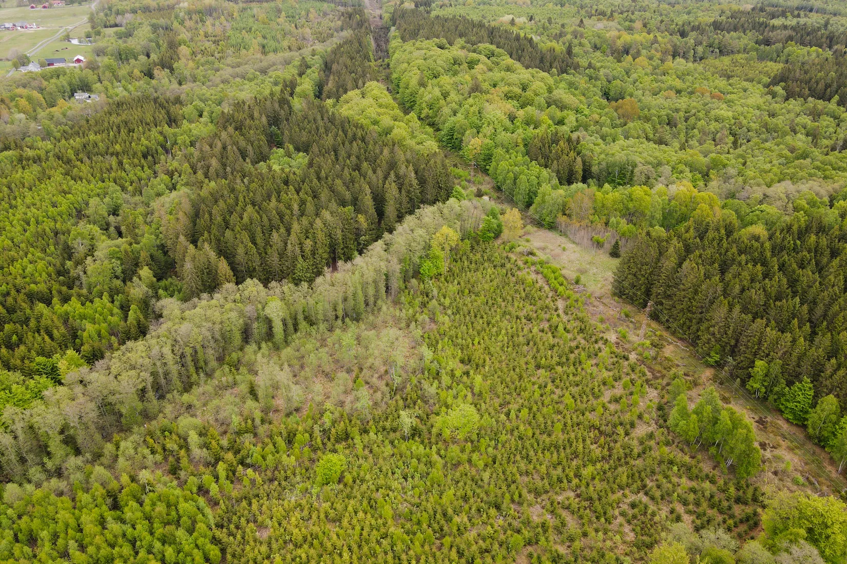 Gård/Skog, Torastorpsvägen 240, Linderöd, Kristianstad