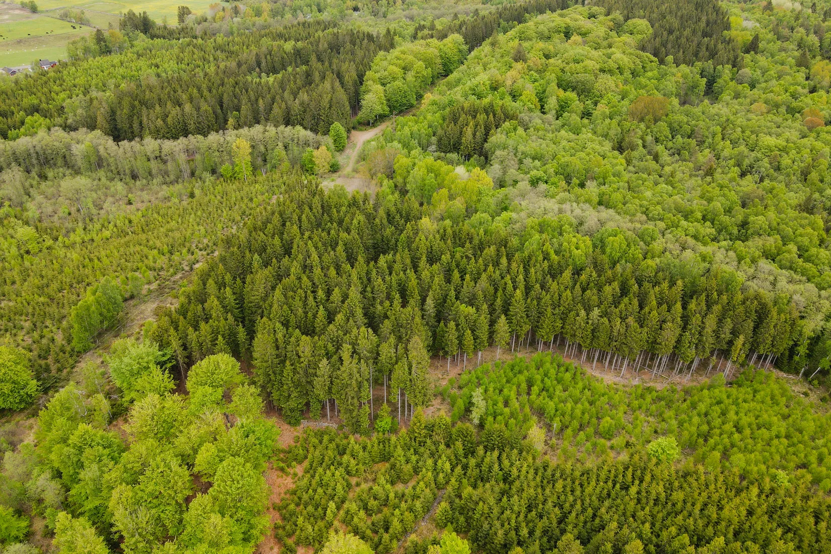 Gård/Skog, Torastorpsvägen 240, Linderöd, Kristianstad