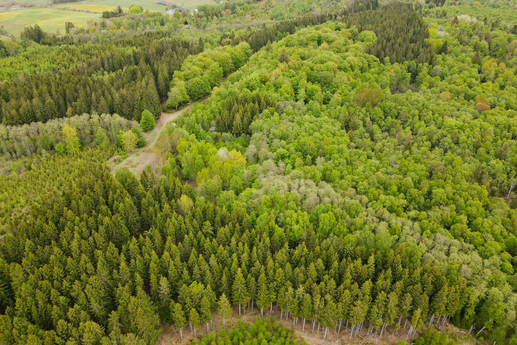 Gård/Skog, Torastorpsvägen 240, Linderöd, Kristianstad