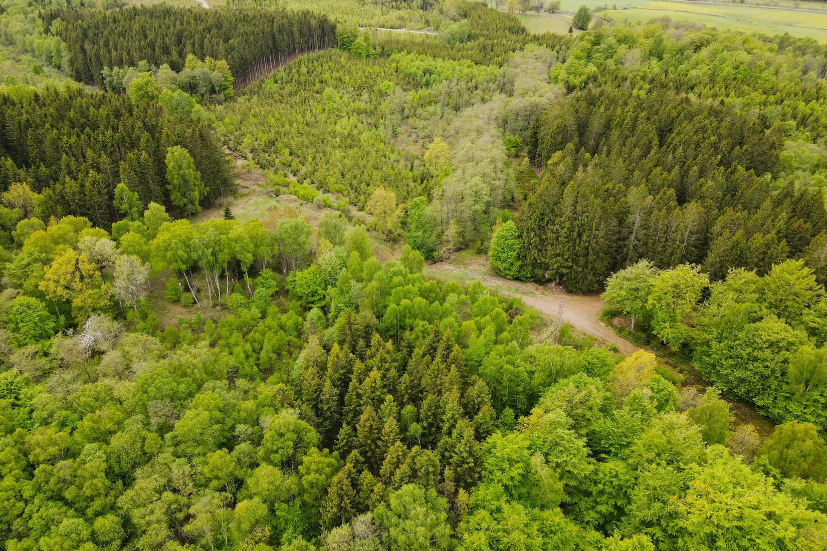 Gård/Skog, Torastorpsvägen 240, Linderöd, Kristianstad