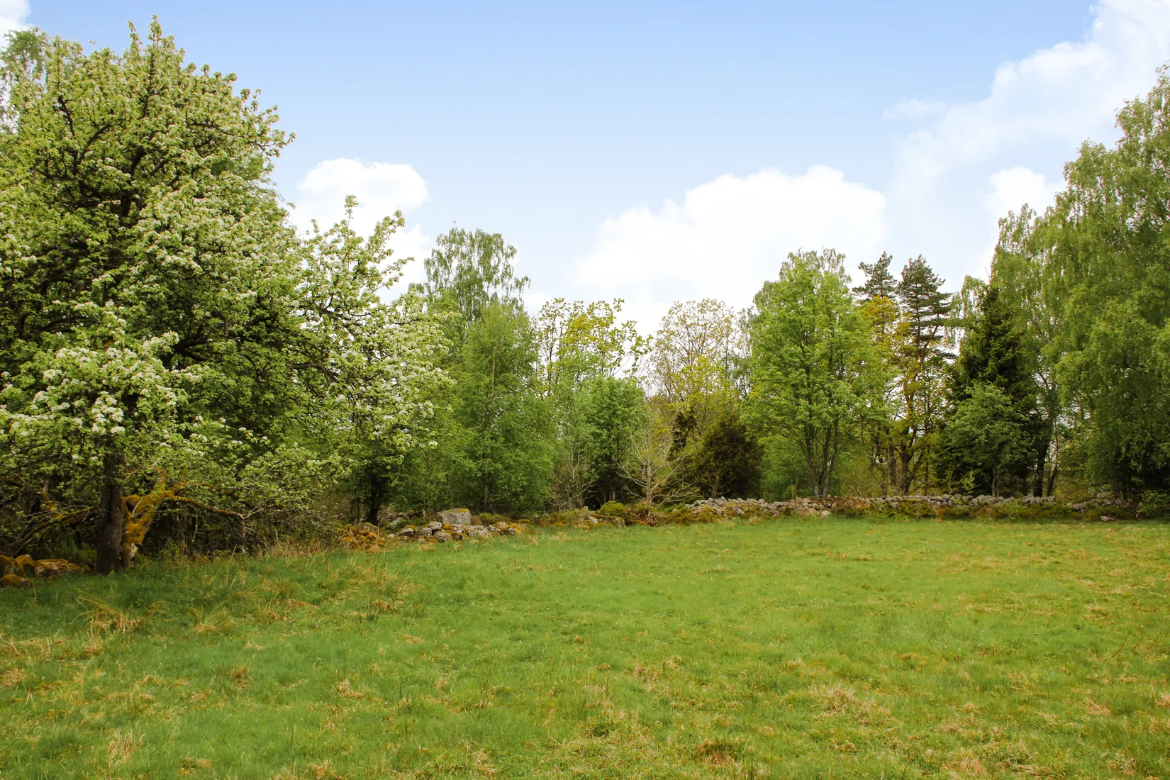 Gård/Skog, Torastorpsvägen 240, Linderöd, Kristianstad