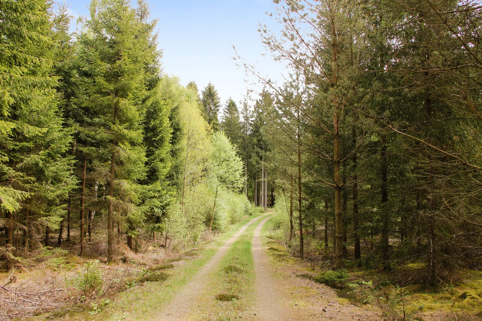 Gård/Skog, Torastorpsvägen 240, Linderöd, Kristianstad