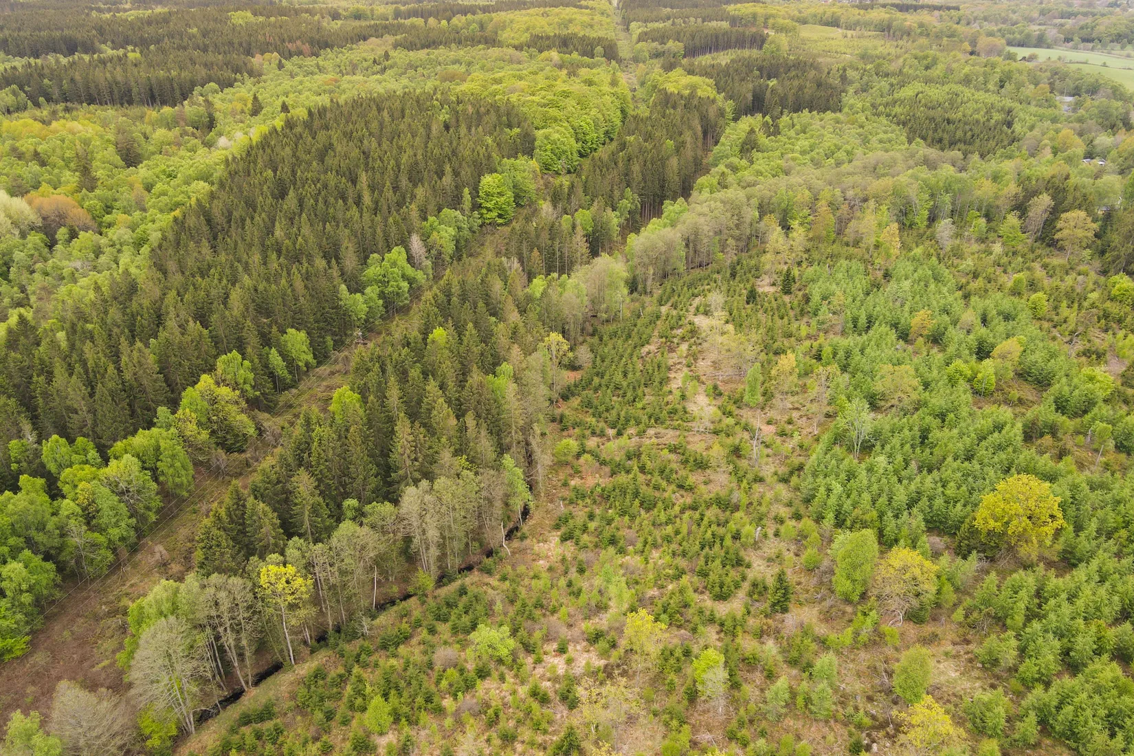 Gård/Skog, Torastorpsvägen 240, Linderöd, Kristianstad