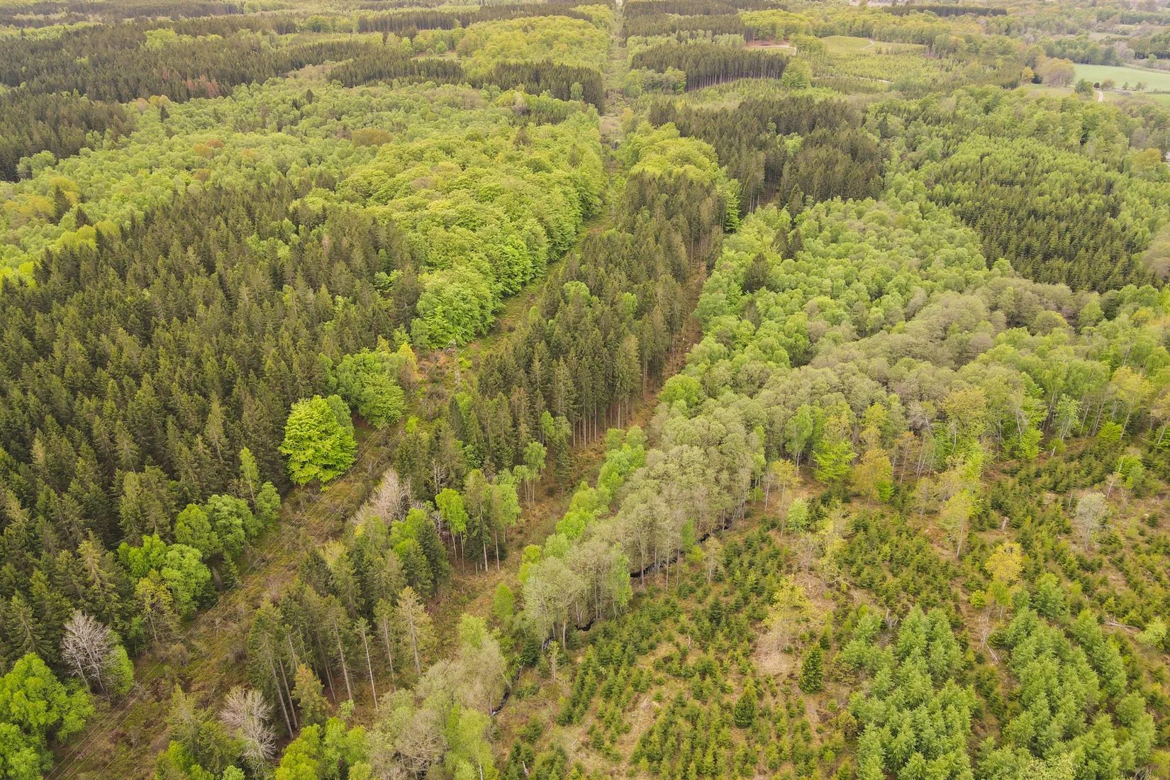 Gård/Skog, Torastorpsvägen 240, Linderöd, Kristianstad