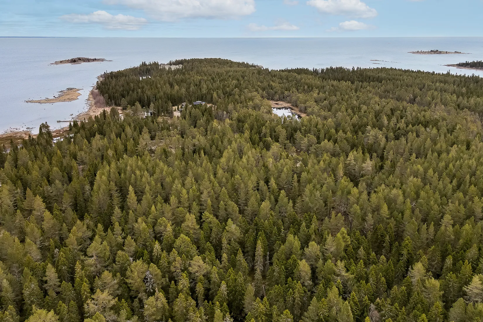 Gård/Skog, UMEÅ HOLMÖN 7:16, Umeå