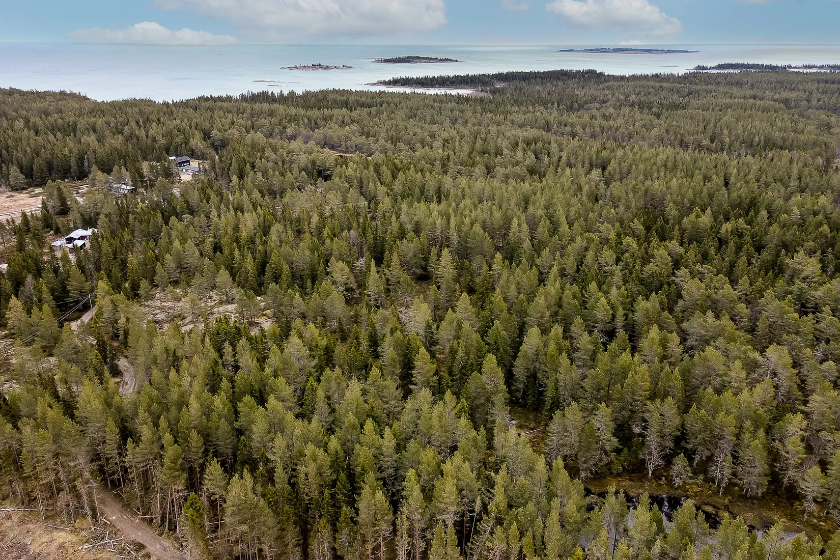 Gård/Skog, UMEÅ HOLMÖN 7:16, Umeå