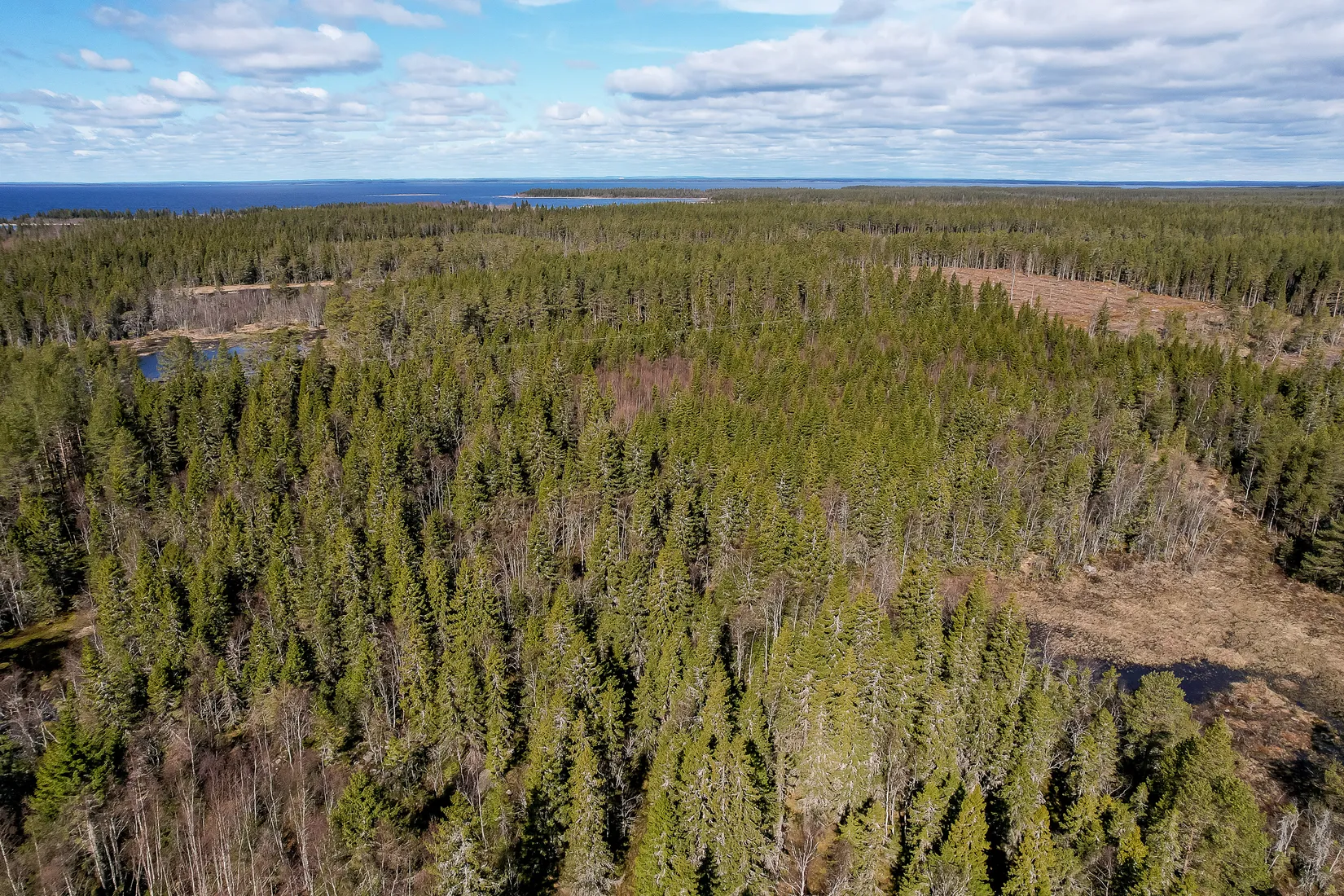 Gård/Skog, UMEÅ HOLMÖN 7:16, Umeå