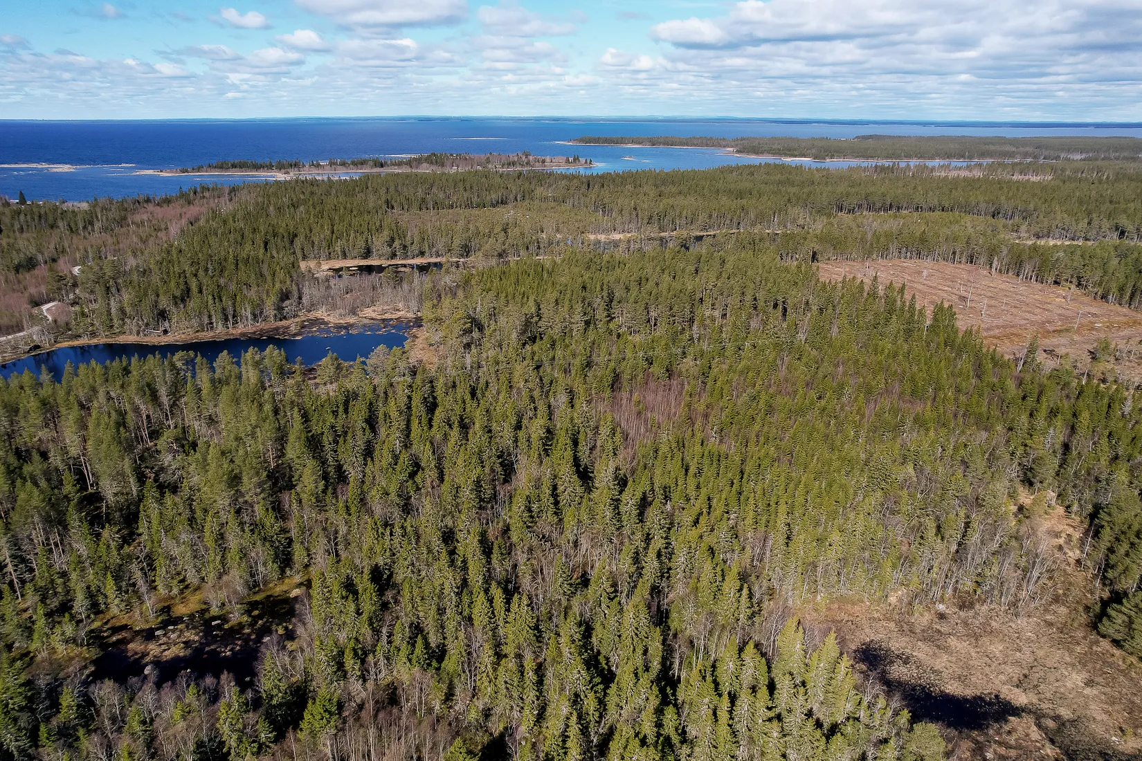Gård/Skog, UMEÅ HOLMÖN 7:16, Umeå