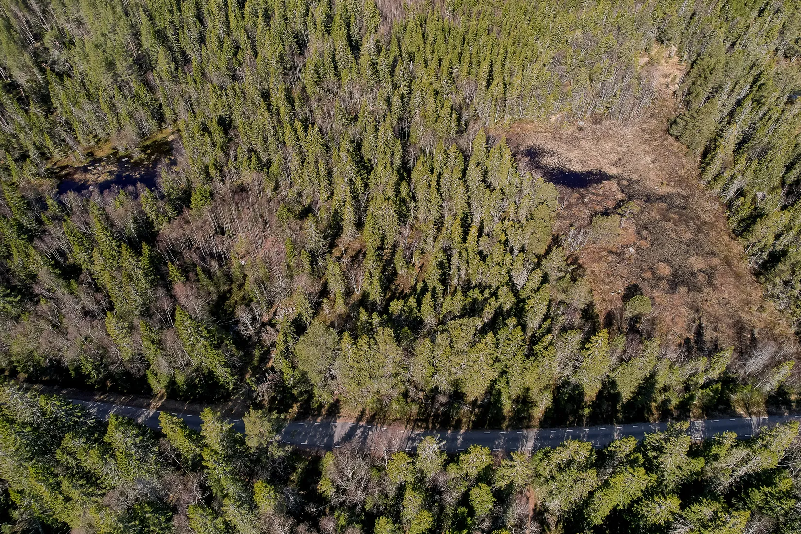 Gård/Skog, UMEÅ HOLMÖN 7:16, Umeå