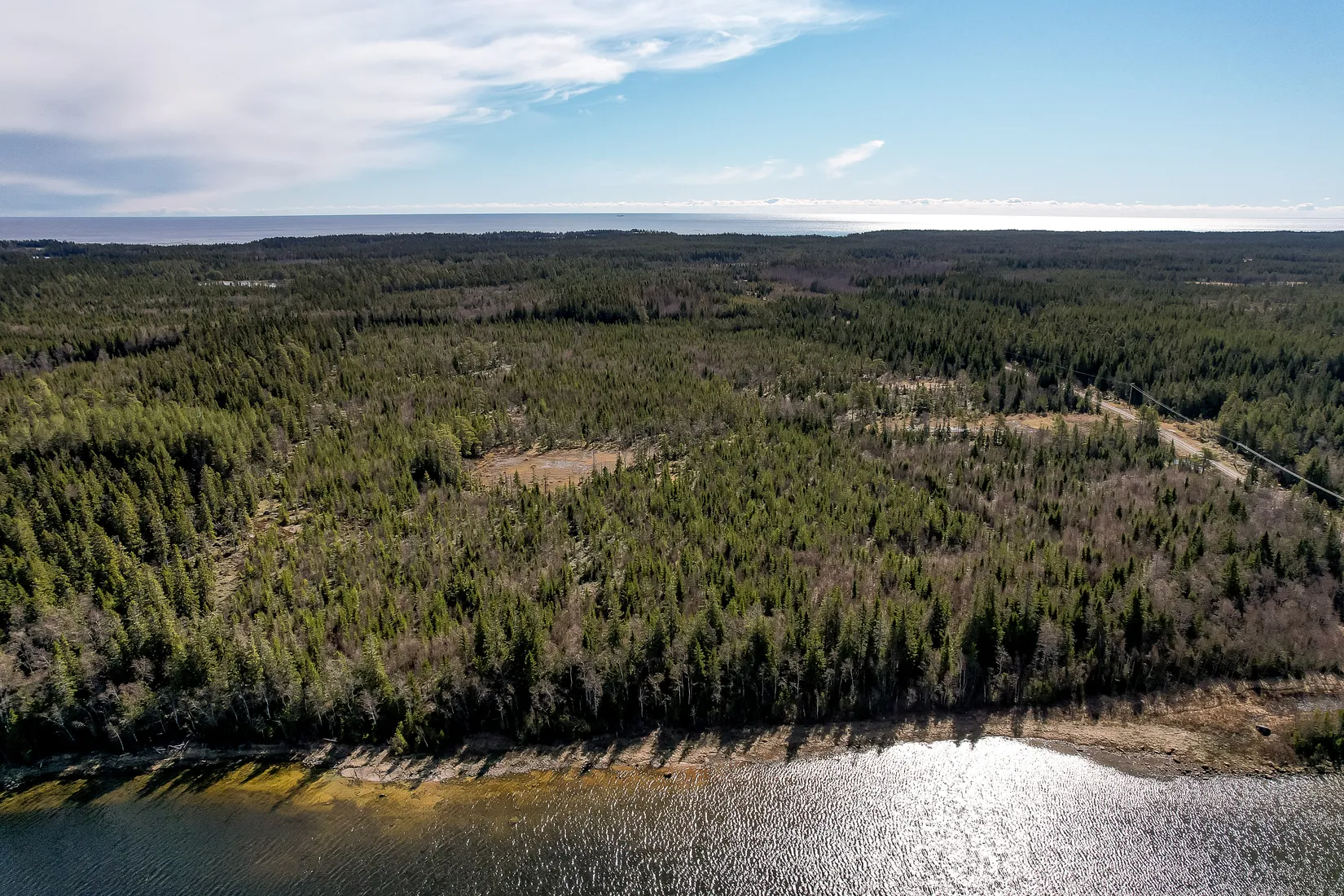 Gård/Skog, UMEÅ HOLMÖN 7:16, Umeå