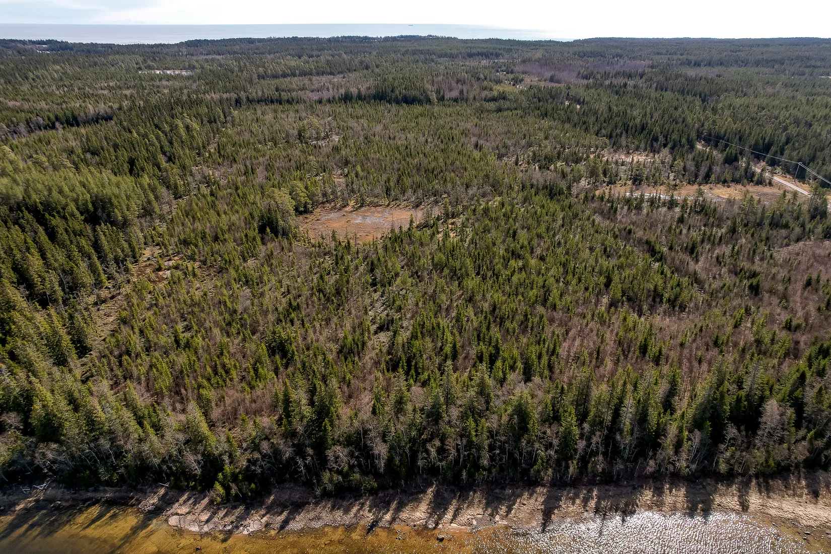 Gård/Skog, UMEÅ HOLMÖN 7:16, Umeå
