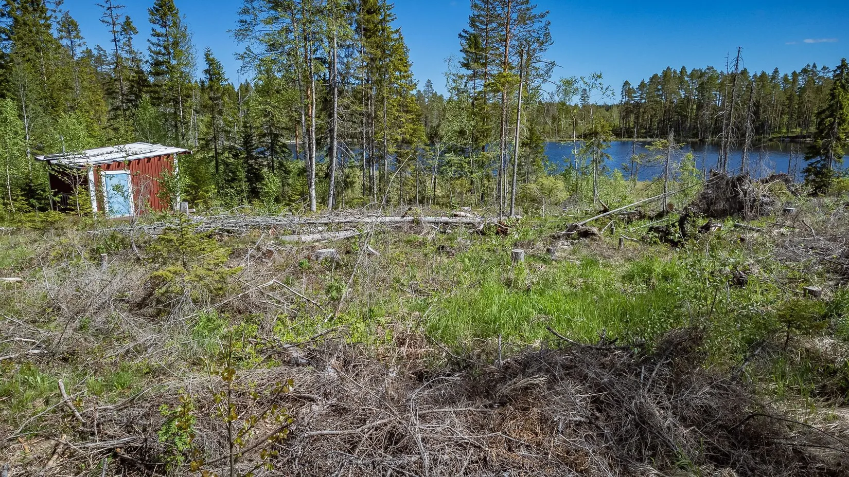 Gård/Skog, Norrkrånge 113, Timrå