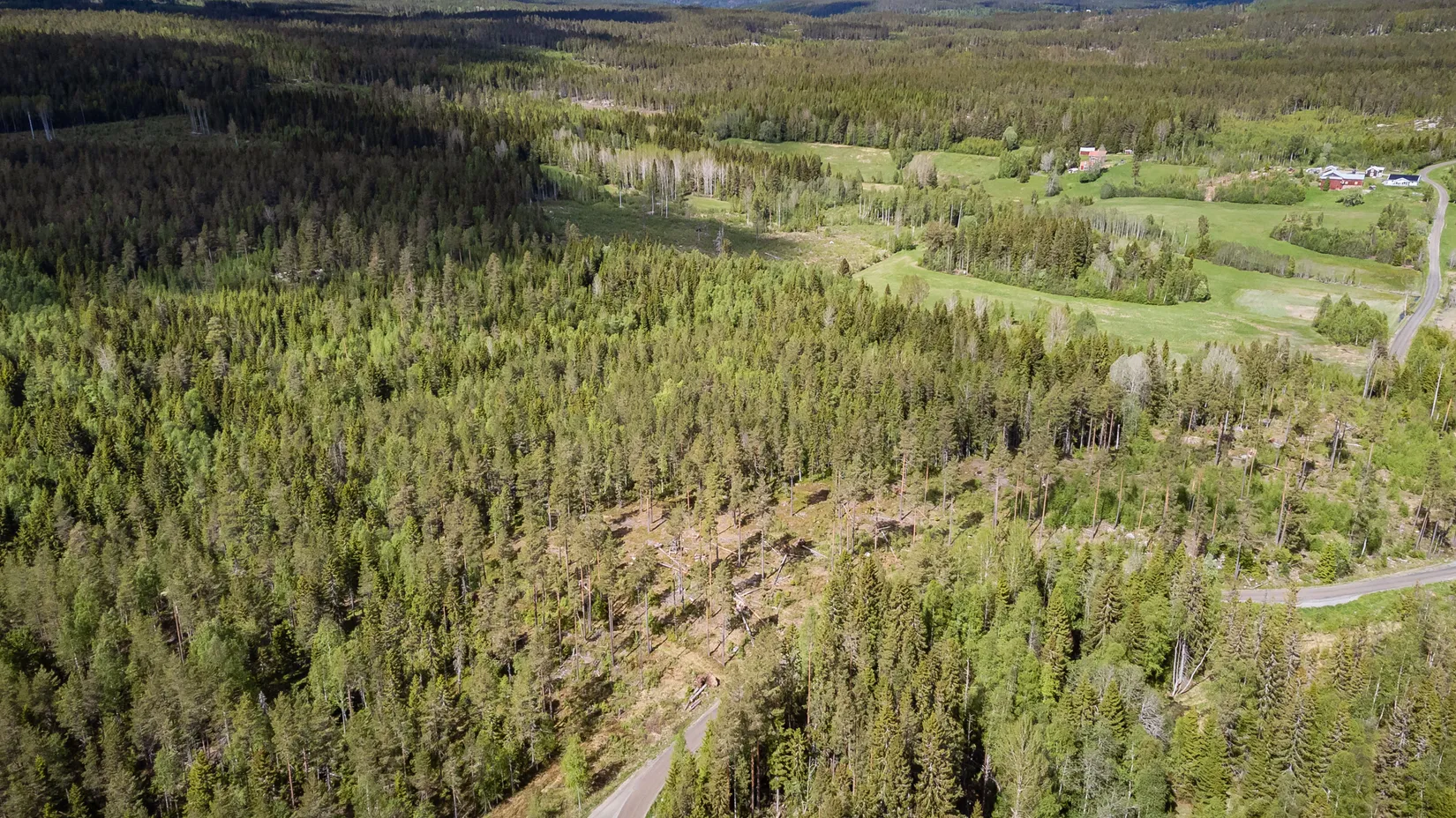 Gård/Skog, Norrkrånge 113, Timrå
