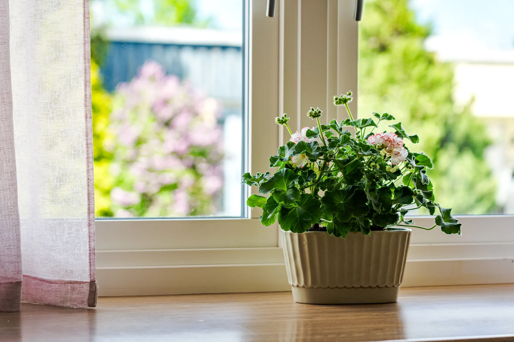 Villa, Radhus, Blåklintsgatan 10, Munksundet, Enköping