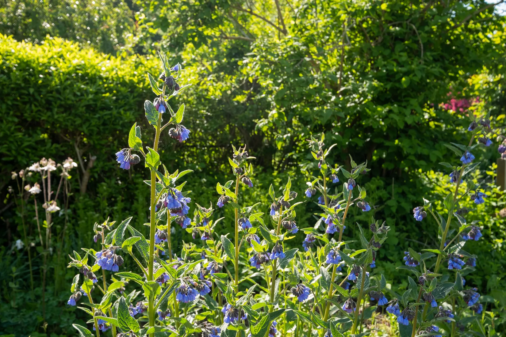 Fritidshus, Anemongången 100, Sommarstaden, Karlshamn