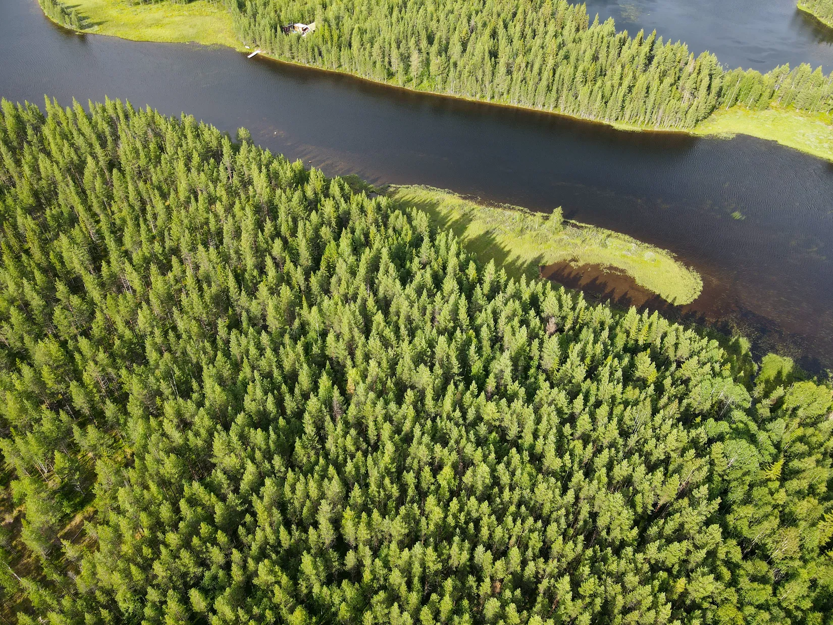 Gård/Skog, STORUMAN BASTUTRÄSK 6:7, Storuman
