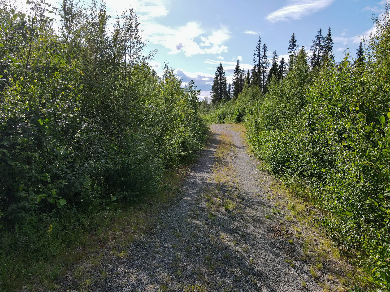 Gård/Skog, STORUMAN BASTUTRÄSK 6:7, Storuman