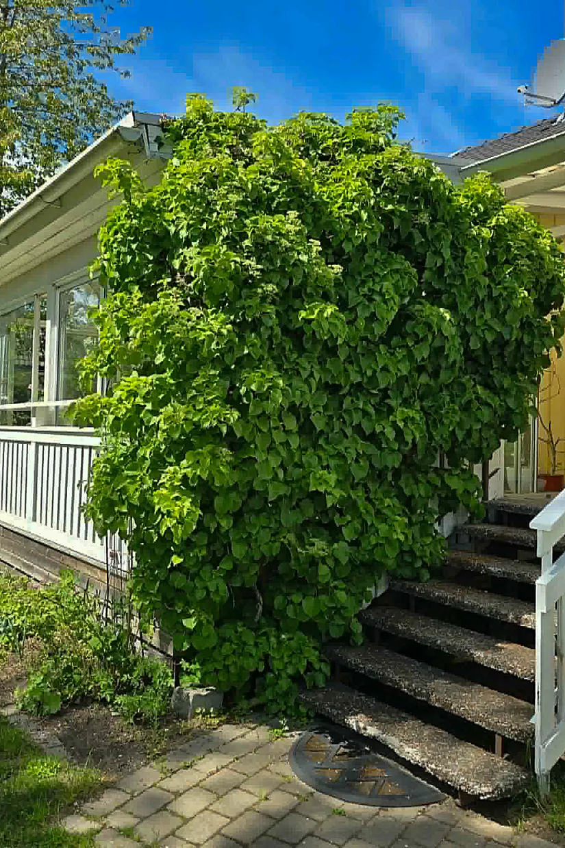 Villa, Lindhovsvägen 46, Tumba - Vretarna, Botkyrka