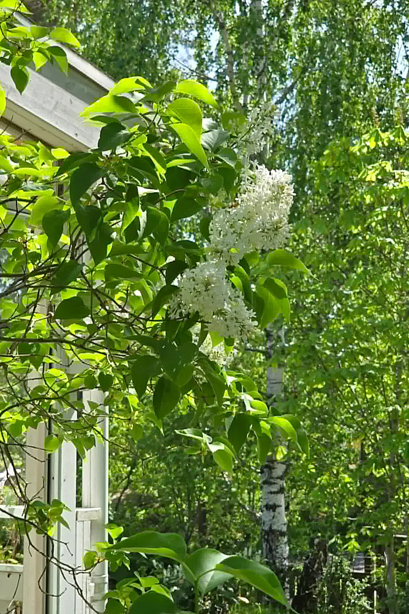 Villa, Lindhovsvägen 46, Tumba - Vretarna, Botkyrka