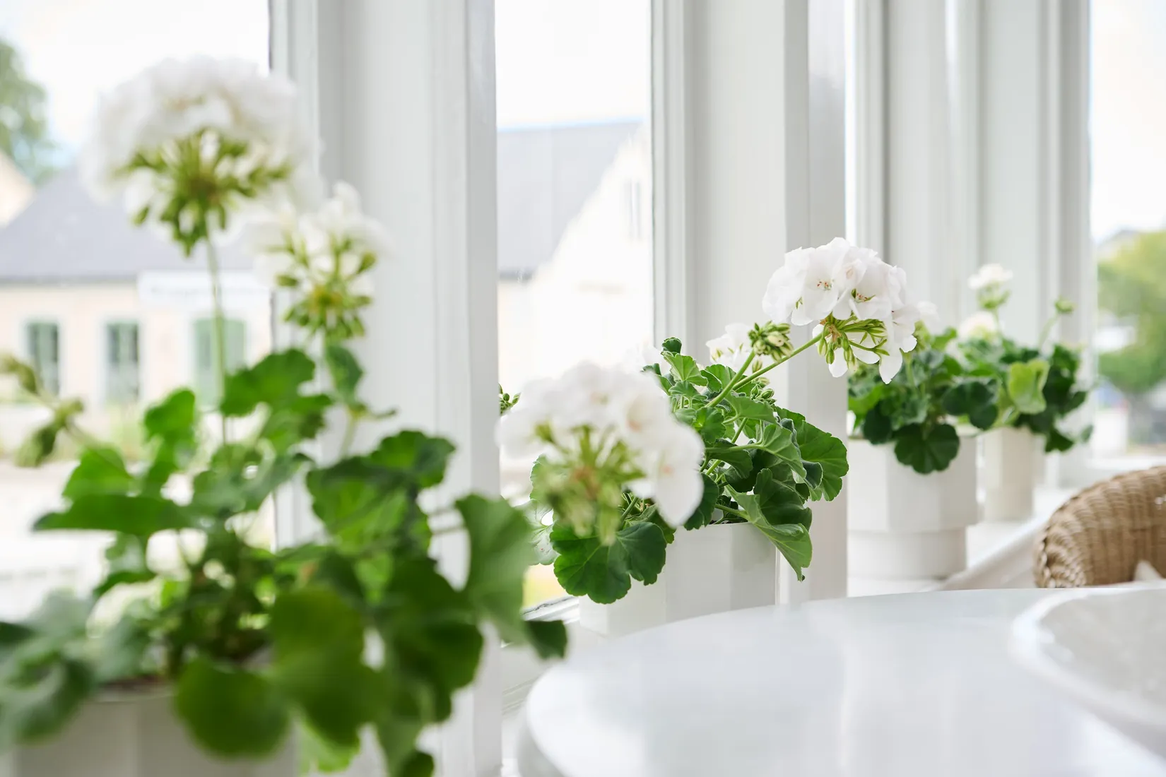 Villa, Kaptensgatan 17, Skillinge, Simrishamn