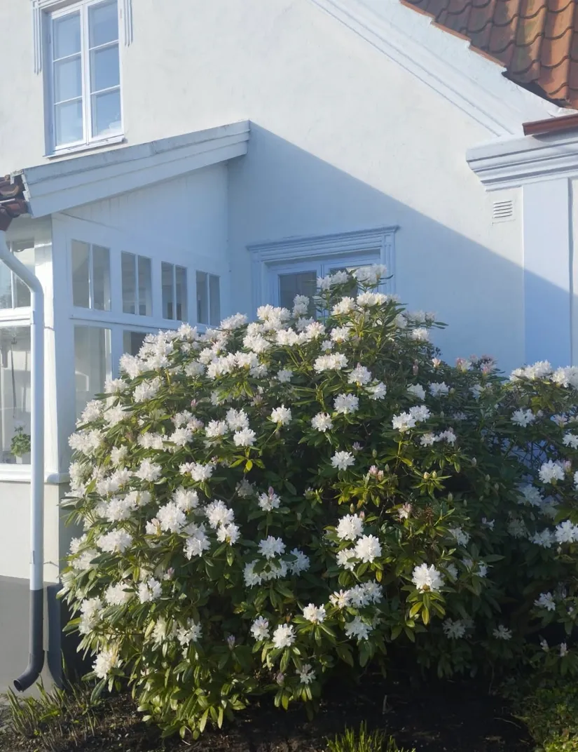 Villa, Kaptensgatan 17, Skillinge, Simrishamn