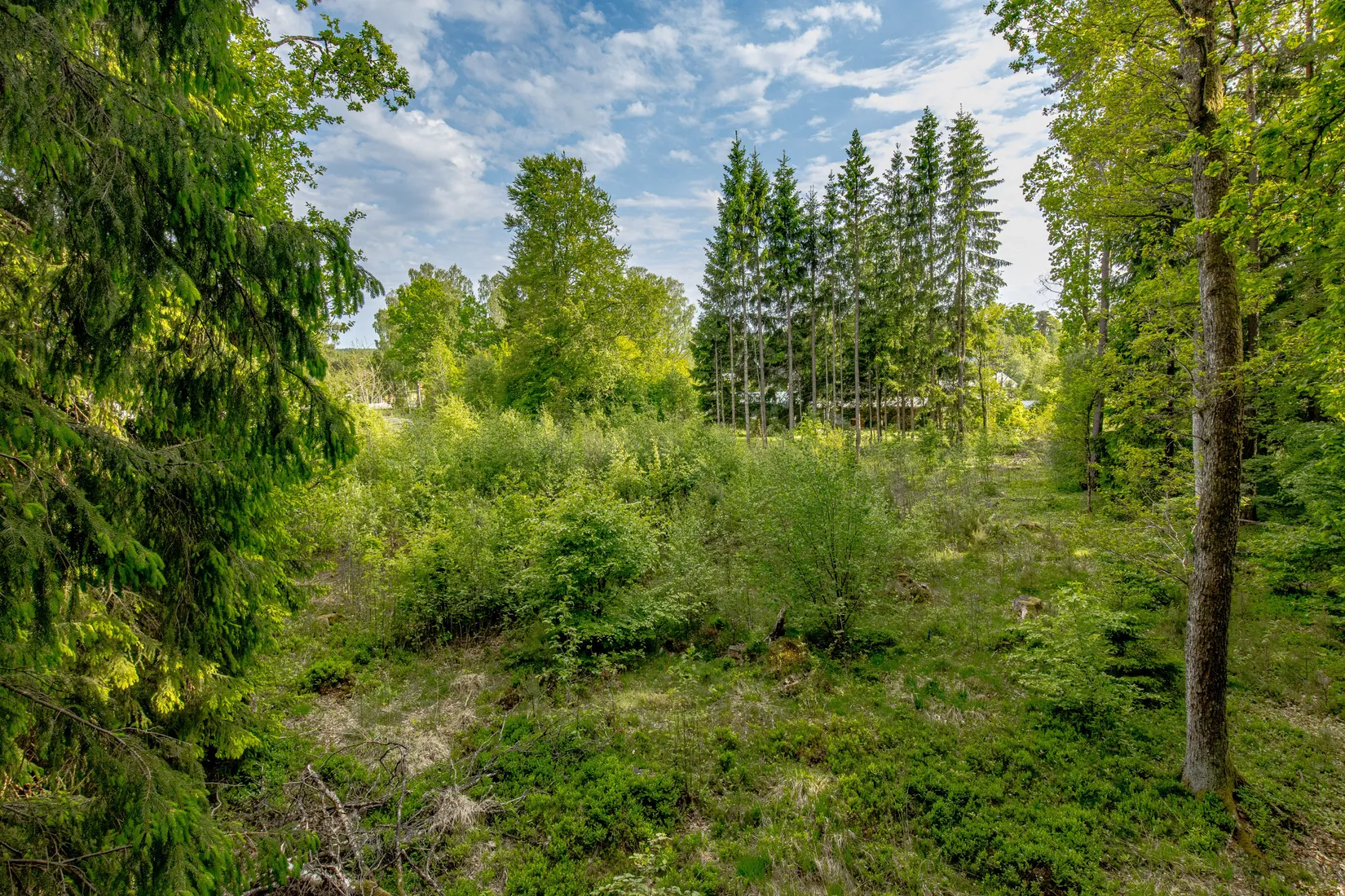 Tomt, Dalshultsvägen 5, Johansfors, Halmstad
