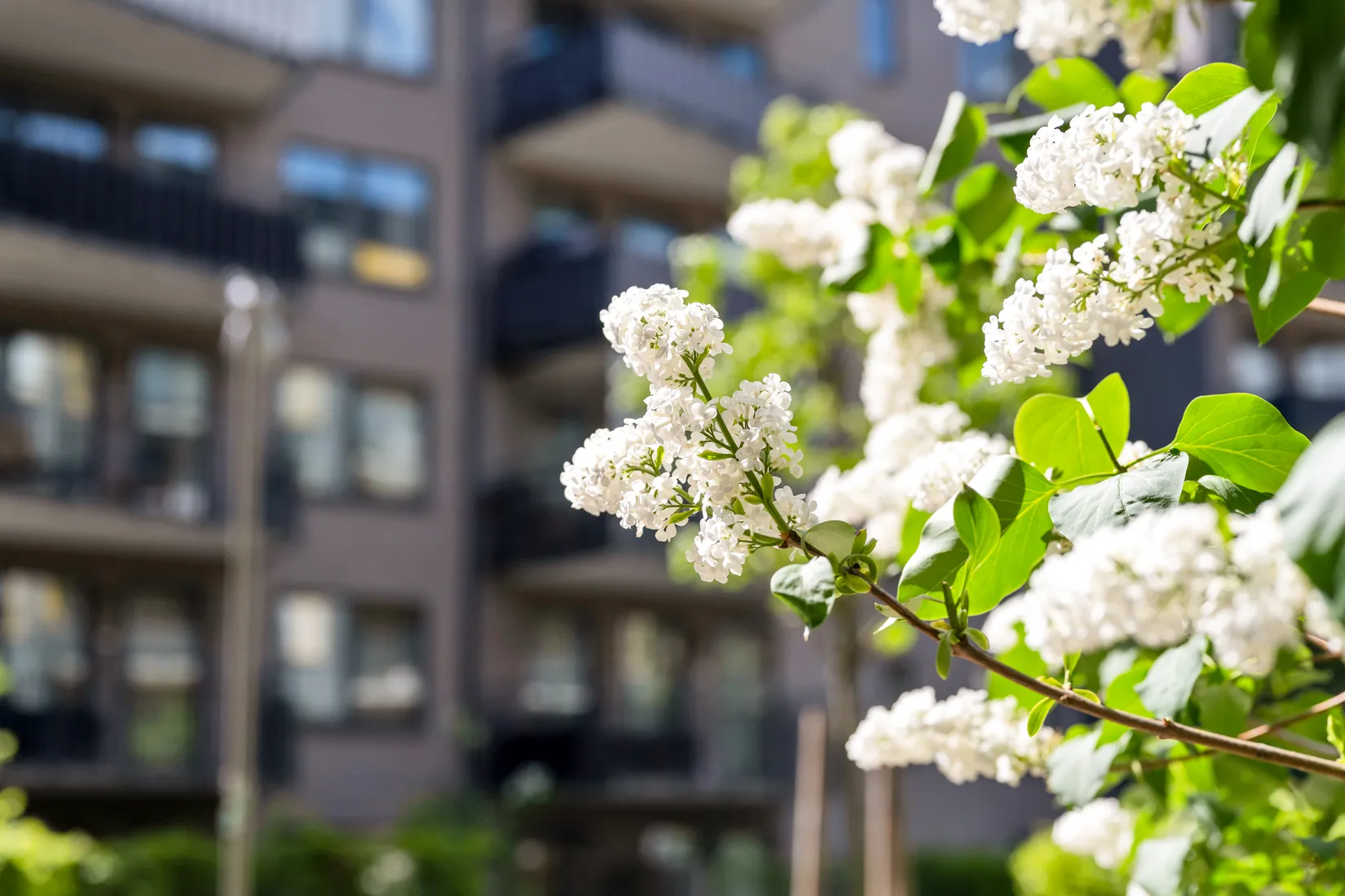 Bostadsrätt, Portalgatan 92, Kapellgärdet, Uppsala