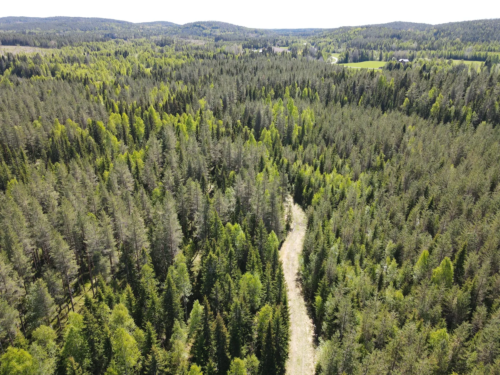 Gård/Skog, ROBERTSFORS STORRÖDNINGSBERG 1:5, Robertsfors
