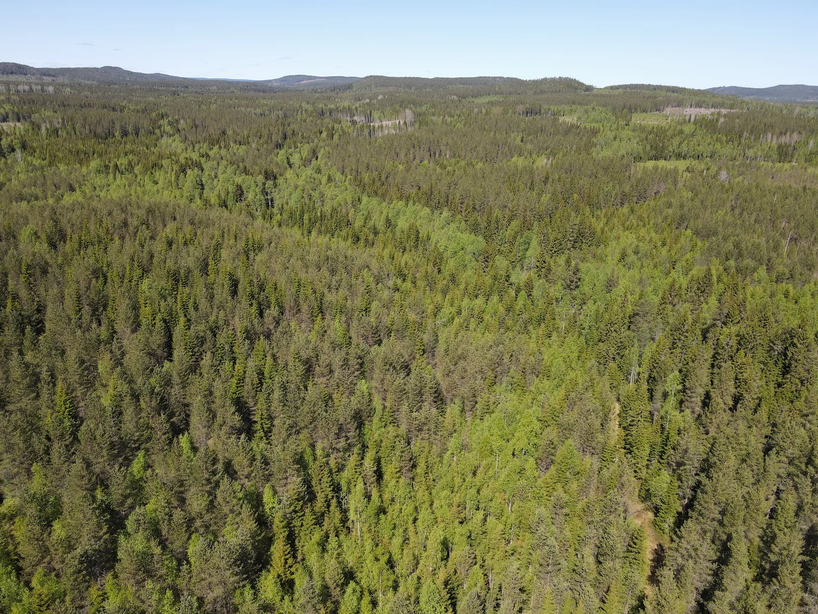 Gård/Skog, ROBERTSFORS STORRÖDNINGSBERG 1:5, Robertsfors
